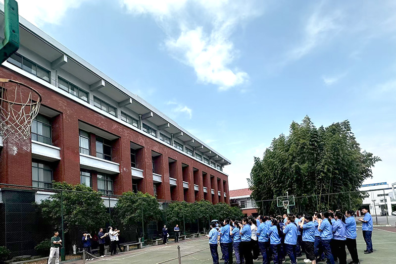 6.jpg 6.jpg